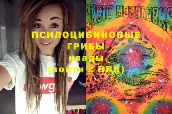твердый Михайловск