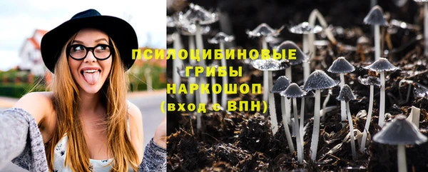 твердый Михайловск