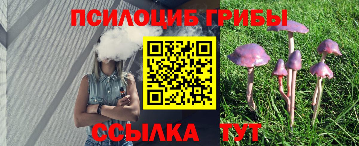 Псилоцибиновые грибы ЛСД Чапаевск