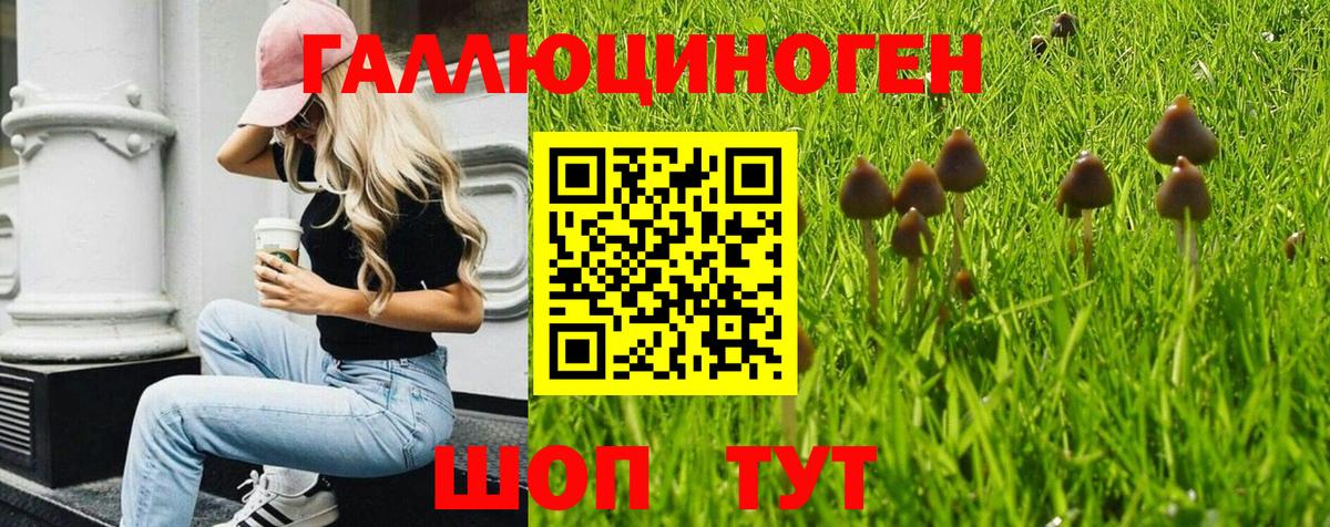 Чапаевск  Галлюциногенные грибы мицелий  Псилоцибиновые грибы Magic Shrooms  Вход с VPN 