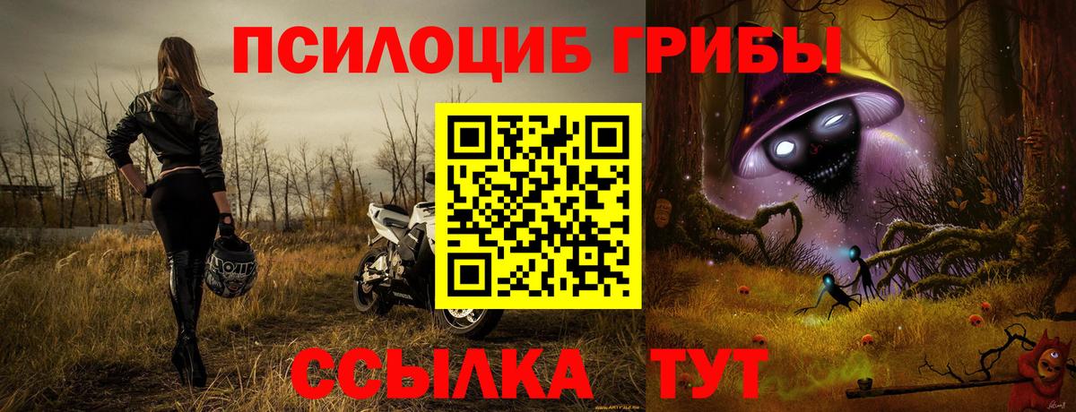 Галлюциногенные грибы мицелий Чапаевск