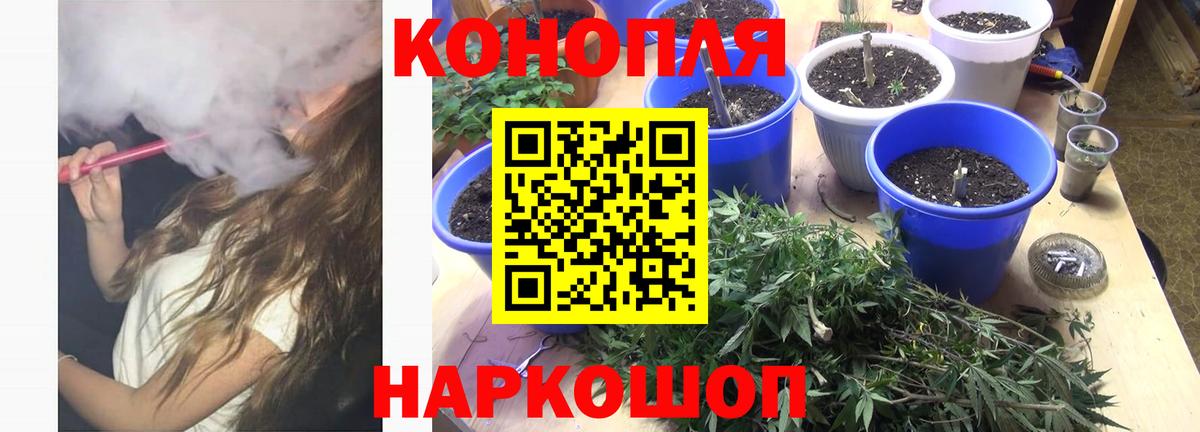 МАРИХУАНА гибрид  Чапаевск  Бошки Шишки план  Каннабис OG Kush 